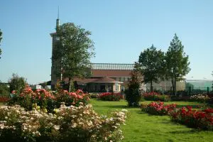 Foto Rosarium Flora