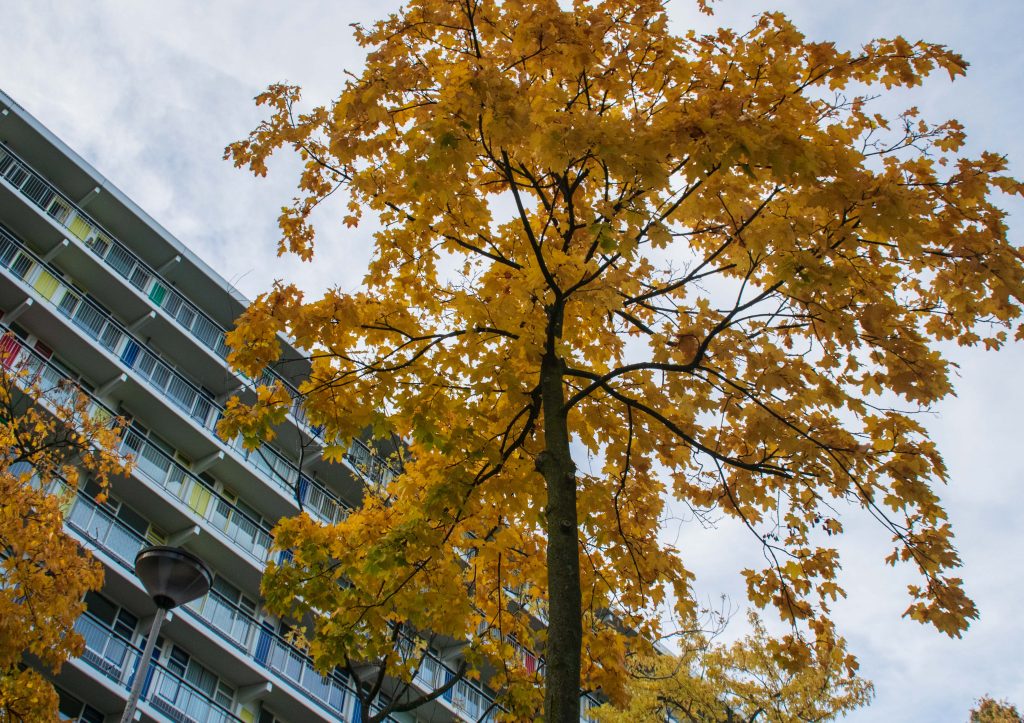 Foto ter illustratie