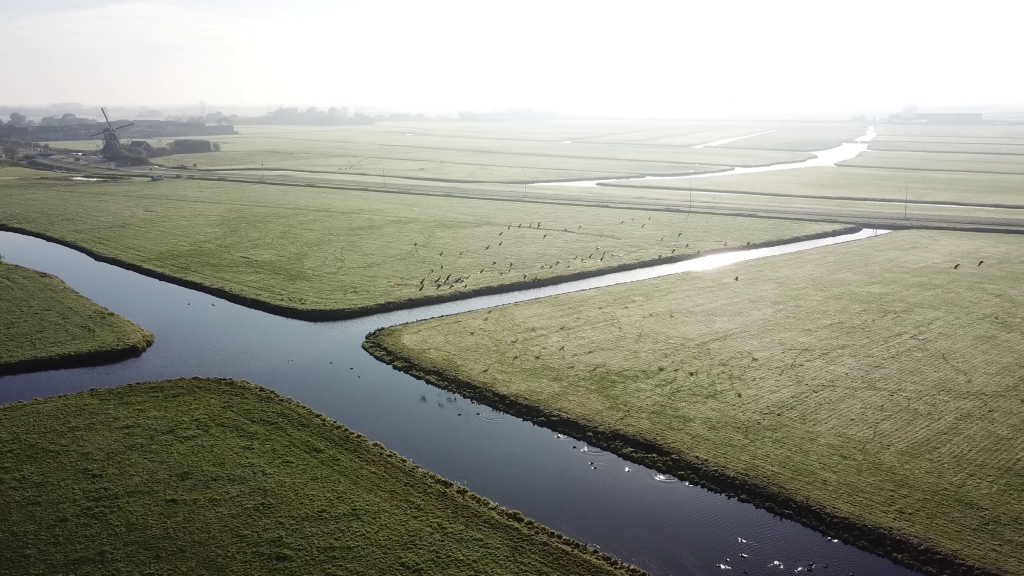 Klik om de foto te vergroten