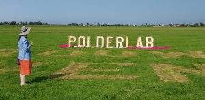 Klik om de foto te vergroten