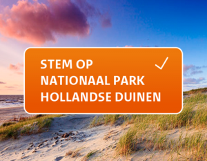 Hollandse Duinen